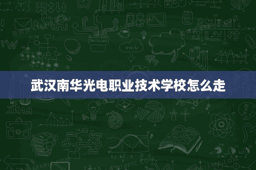 武汉南华光电职业技术学校怎么走