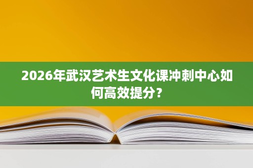 2026年武汉艺术生文化课冲刺中心如何高效提分？