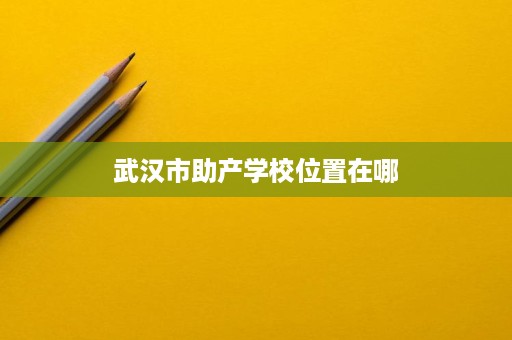 武汉市助产学校位置在哪