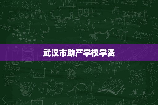 武汉市助产学校学费