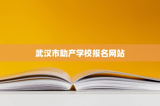 武汉市助产学校报名网站
