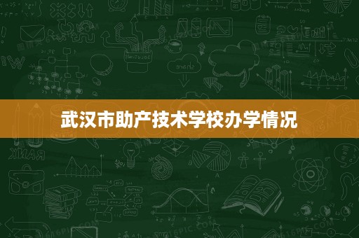 武汉市助产技术学校办学情况