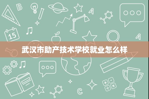 武汉市助产技术学校就业怎么样