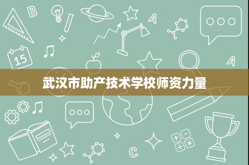 武汉市助产技术学校师资力量