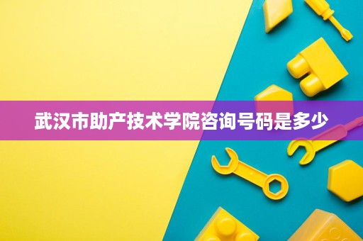 武汉市助产技术学院咨询号码是多少
