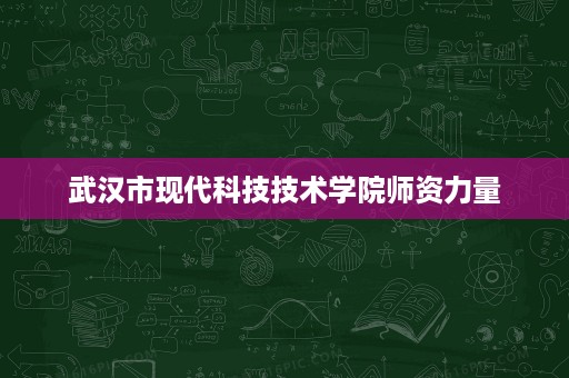 武汉市现代科技技术学院师资力量