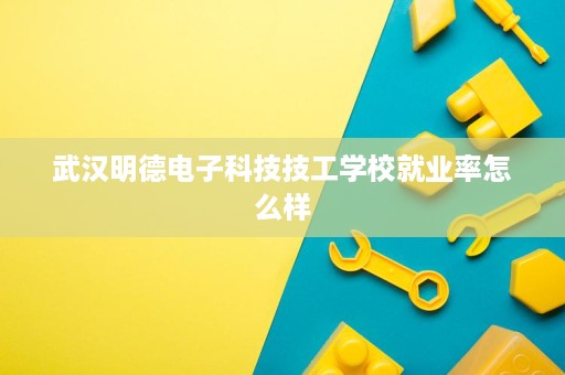 武汉明德电子科技技工学校就业率怎么样