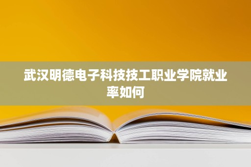 武汉明德电子科技技工职业学院就业率如何