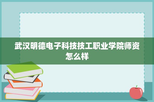 武汉明德电子科技技工职业学院师资怎么样