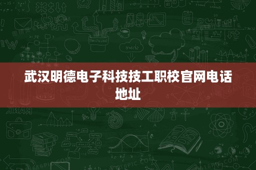 武汉明德电子科技技工职校官网电话地址
