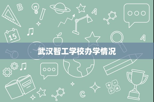 武汉智工学校办学情况
