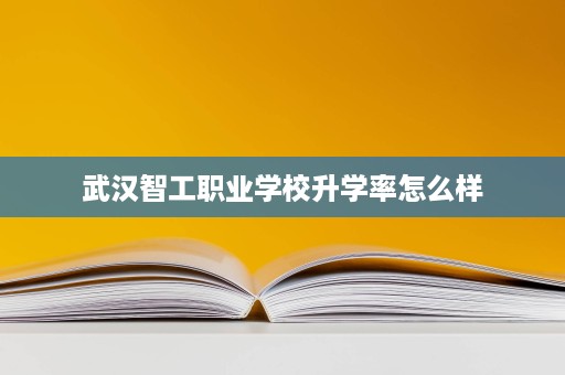 武汉智工职业学校升学率怎么样