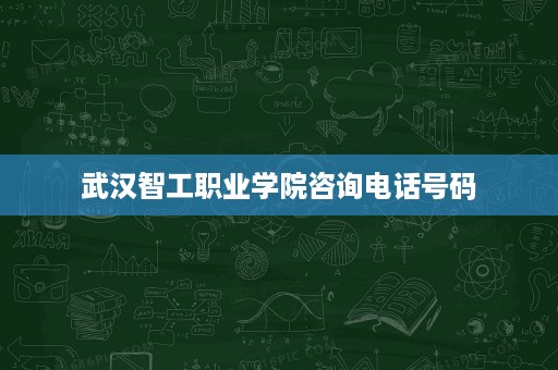 武汉智工职业学院咨询电话号码