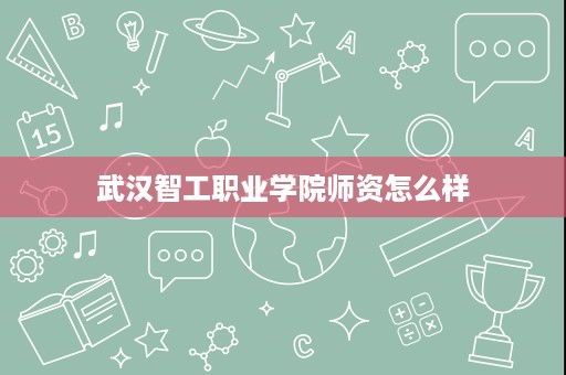 武汉智工职业学院师资怎么样