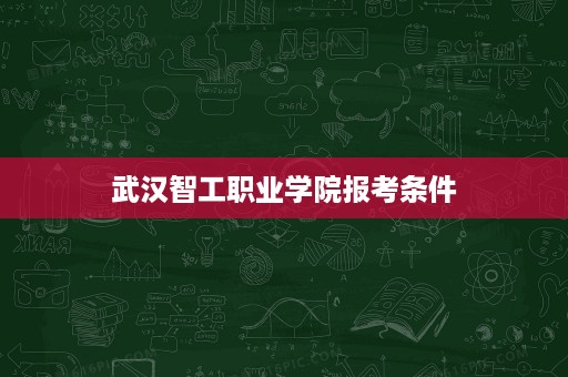 武汉智工职业学院报考条件