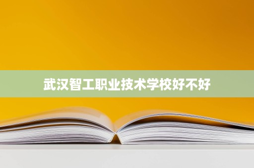 武汉智工职业技术学校好不好
