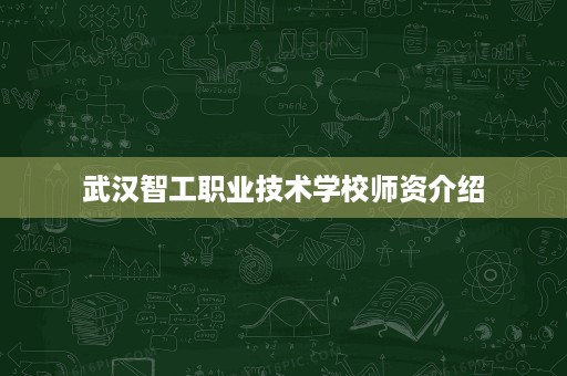 武汉智工职业技术学校师资介绍