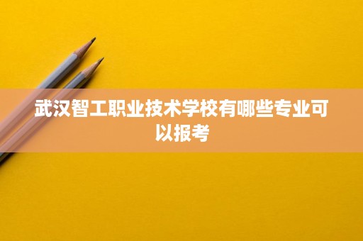 武汉智工职业技术学校有哪些专业可以报考