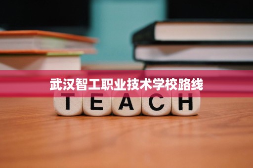 武汉智工职业技术学校路线