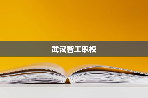 武汉智工职校