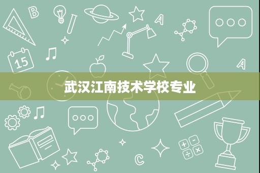 武汉江南技术学校专业