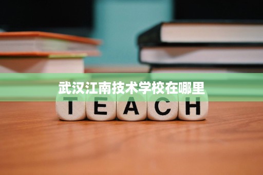 武汉江南技术学校在哪里