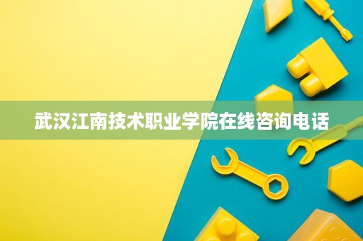 武汉江南技术职业学院在线咨询电话