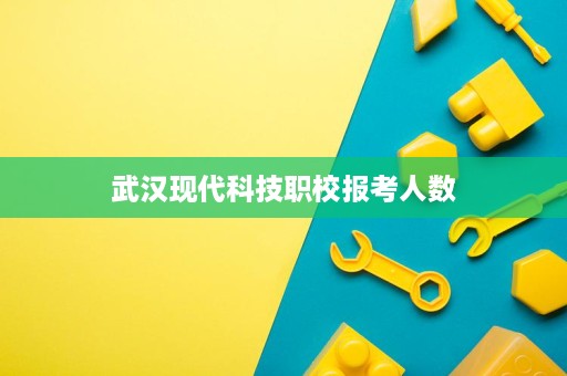武汉现代科技职校报考人数