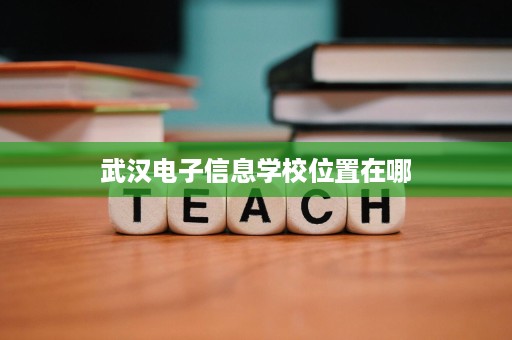武汉电子信息学校位置在哪