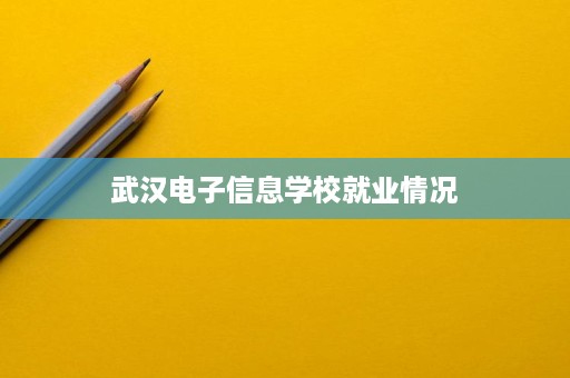 武汉电子信息学校就业情况