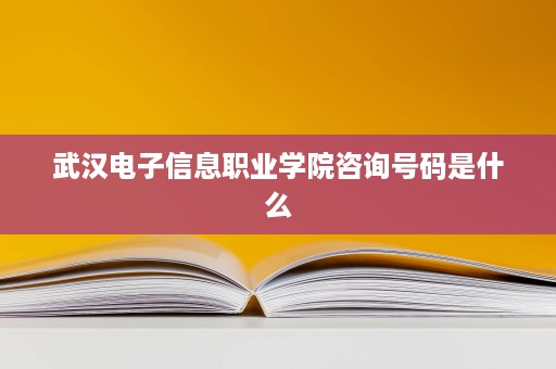 武汉电子信息职业学院咨询号码是什么