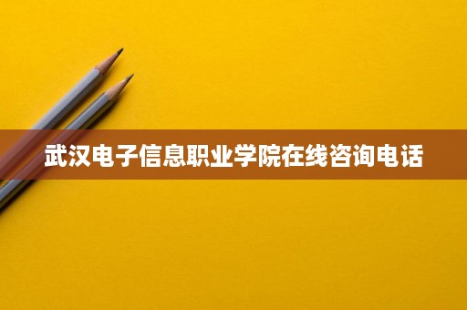 武汉电子信息职业学院在线咨询电话