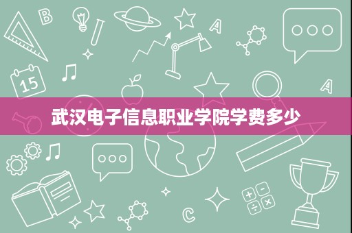 武汉电子信息职业学院学费多少