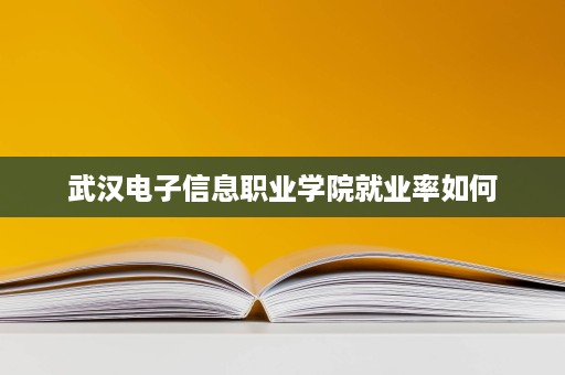 武汉电子信息职业学院就业率如何