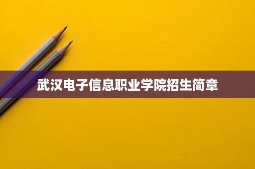 武汉电子信息职业学院招生简章
