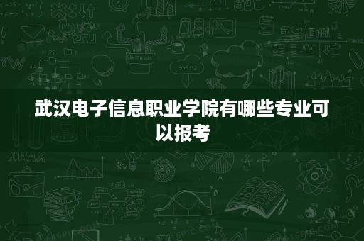 武汉电子信息职业学院有哪些专业可以报考