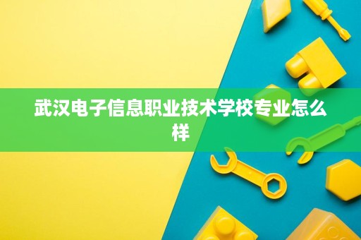 武汉电子信息职业技术学校专业怎么样