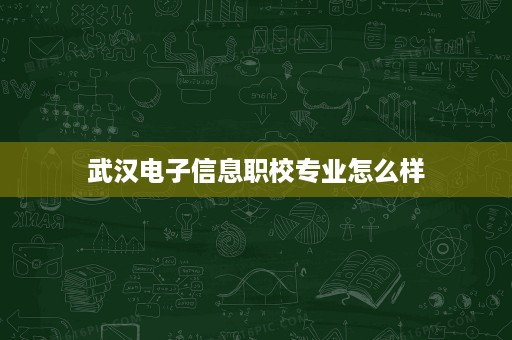 武汉电子信息职校专业怎么样