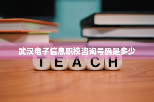 武汉电子信息职校咨询号码是多少