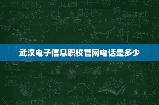 武汉电子信息职校官网电话是多少