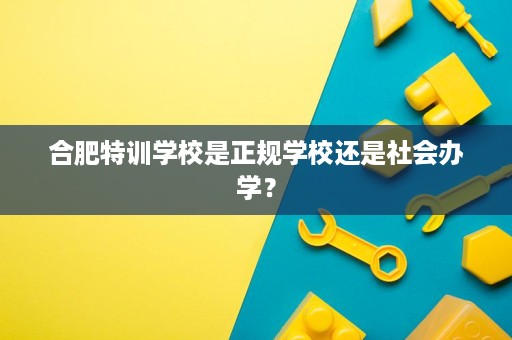 合肥特训学校是正规学校还是社会办学？