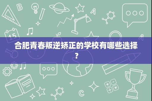 合肥青春叛逆矫正的学校有哪些选择？