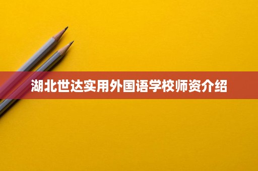 湖北世达实用外国语学校师资介绍
