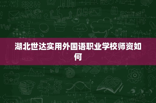 湖北世达实用外国语职业学校师资如何