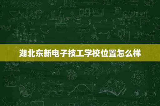 湖北东新电子技工学校位置怎么样