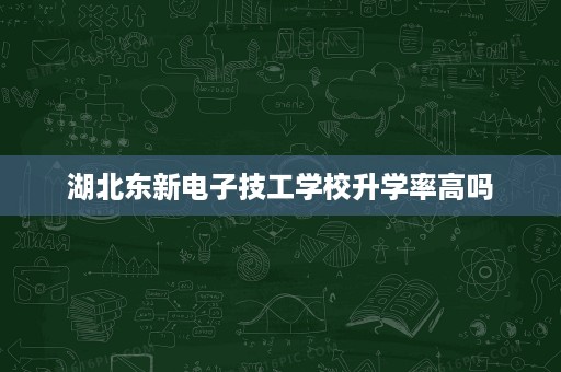 湖北东新电子技工学校升学率高吗