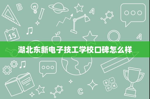 湖北东新电子技工学校口碑怎么样