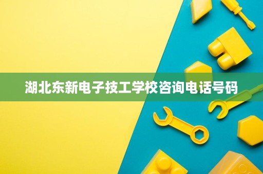湖北东新电子技工学校咨询电话号码