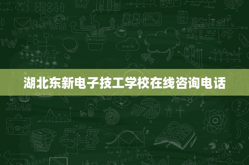 湖北东新电子技工学校在线咨询电话