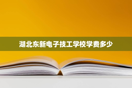 湖北东新电子技工学校学费多少
